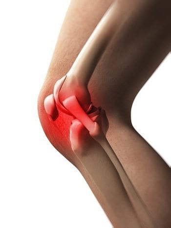 basic knee injury prevention