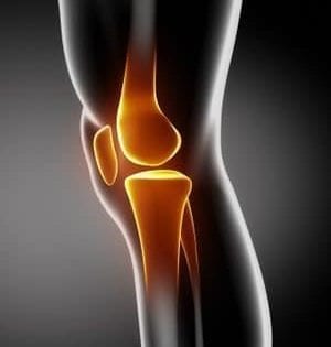 knee rehab North Boulder Physical Therapy