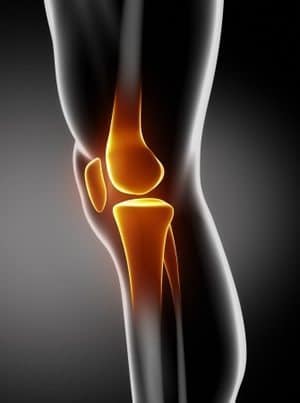 knee rehab North Boulder Physical Therapy